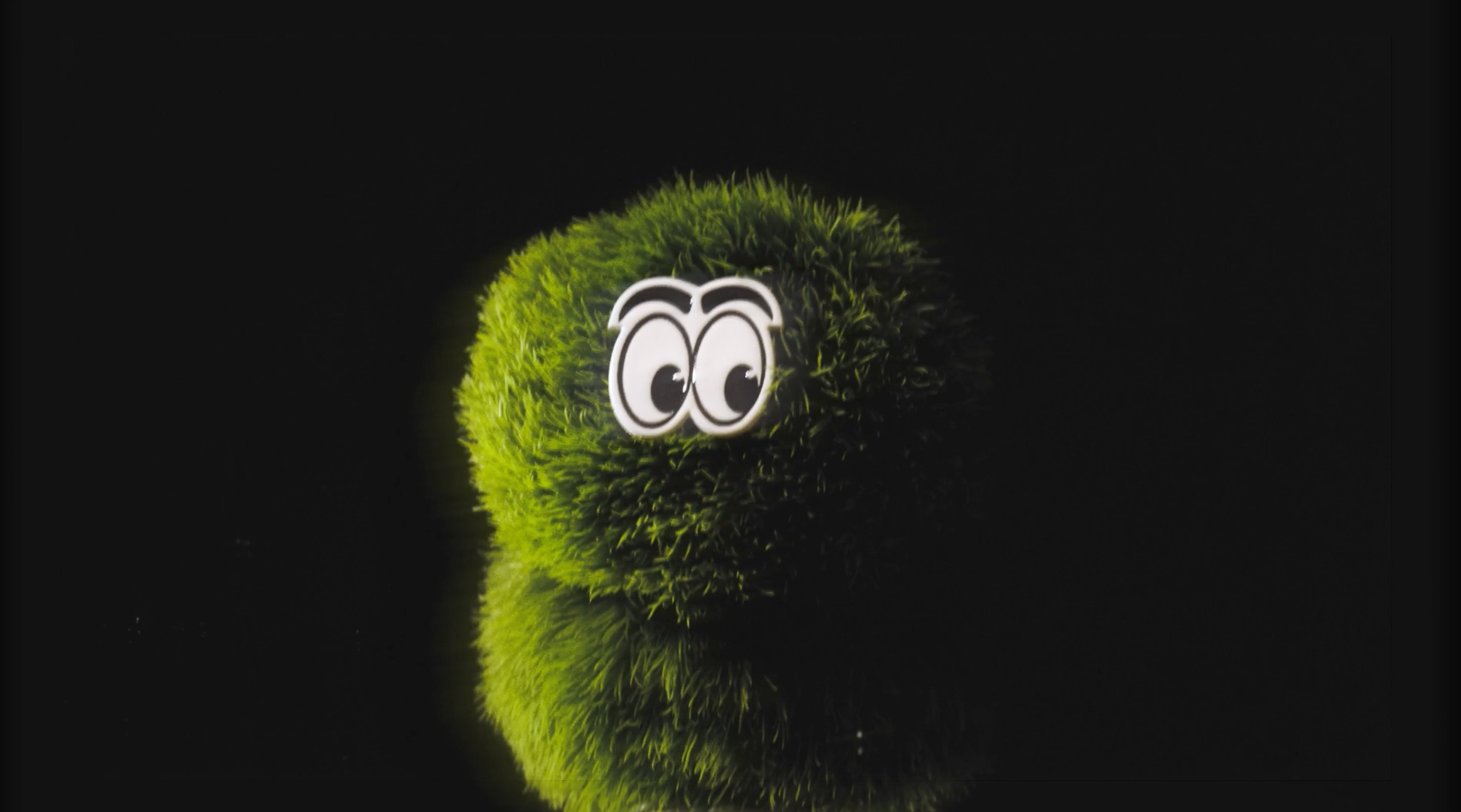 Purple City Genetics