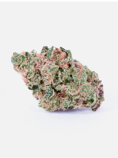 Dancehall CBD Strain - 2:1 crossing of Juanita la Lagrimosa x